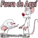 Pinky y Cerebro 15