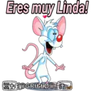 Pinky y Cerebro 7