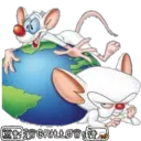 Pinky y Cerebro 20