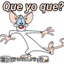 Pinky y Cerebro 19