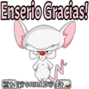 Pinky y Cerebro 16