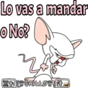 Pinky y Cerebro 13
