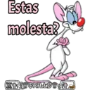 Pinky y Cerebro 21