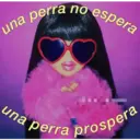 una perra no espera
una perra prospera
