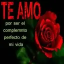 Te quiero, te amo 4 27