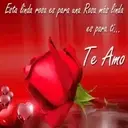 Te quiero, te amo 4 16