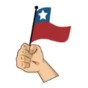 Viva Chile 15