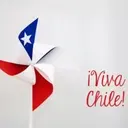 Viva Chile 19