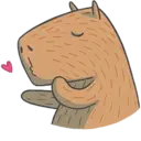 Capybara&Co 11