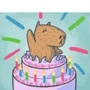 Capybara&Co 27