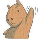 Capybara&Co 2