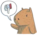 Capybara&Co 7