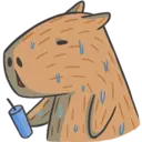 Capybara&Co 16