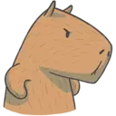 Capybara&Co 5