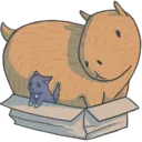 Capybara&Co 17