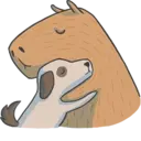 Capybara&Co 29