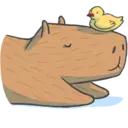 Capybara&Co 15