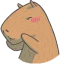Capybara&Co 14