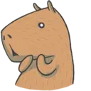 Capybara&Co 8