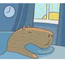 Capybara&Co 28
