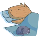 Capybara&Co 4