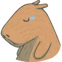 Capybara&Co 6