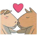 Capybara&Co 26