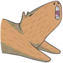 Capybara&Co 18