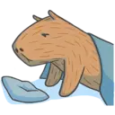 Capybara&Co 9
