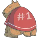 Capybara&Co 1