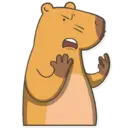Capybara Valera 3