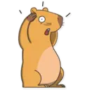 Capybara Valera 8