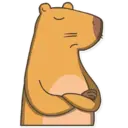 Capybara Valera 2