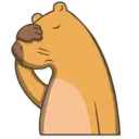 Capybara Valera 4