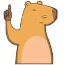 Capybara Valera 12