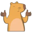Capybara Valera 11