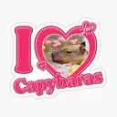 Carpincho 12