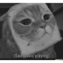 Gatitos 8