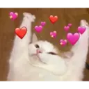 Gatitos 25
