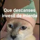 Gatitos 3