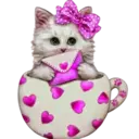 Gatitos💞2🇵🇪Clásica 6