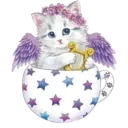 Gatitos💞2🇵🇪Clásica 19