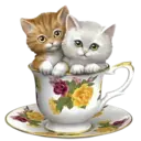 Gatitos💞2🇵🇪Clásica 20