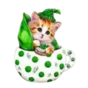Gatitos💞2🇵🇪Clásica 23