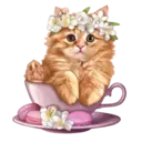 Gatitos💞2🇵🇪Clásica 1