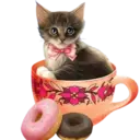 Gatitos💞2🇵🇪Clásica 2