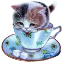 Gatitos💞2🇵🇪Clásica 24