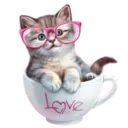 Gatitos💞2🇵🇪Clásica 18