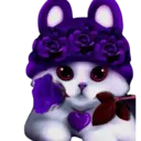 Gatitos💞2🇵🇪Clásica 8