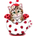 Gatitos💞2🇵🇪Clásica 9